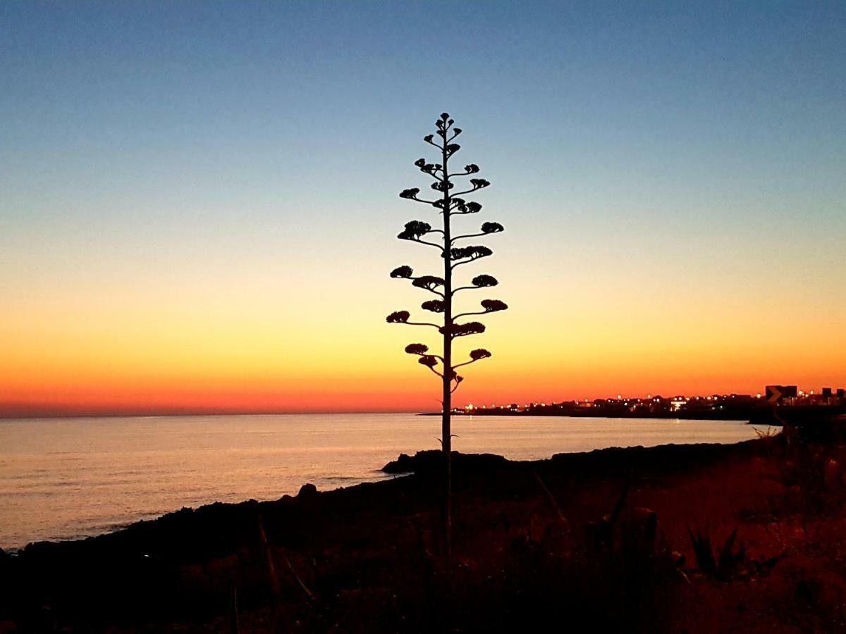 Lu Salentu White House Otel Marina di Mancaversa Dış mekan fotoğraf